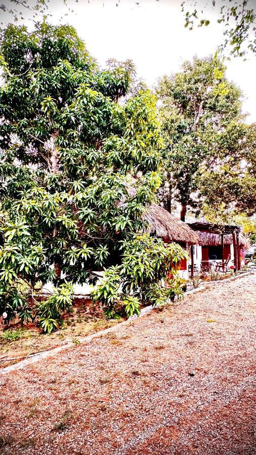 Cabanas Mr Bacalar Luaran gambar